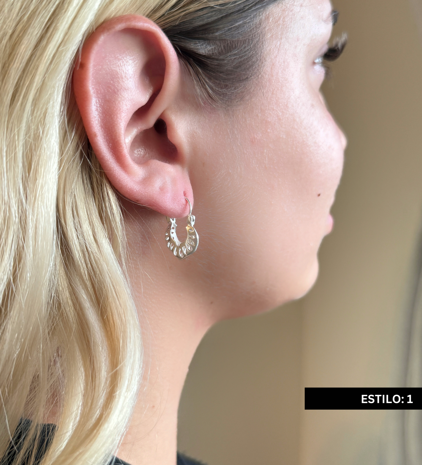 Aretes De Canasta